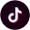 TikTok Icon